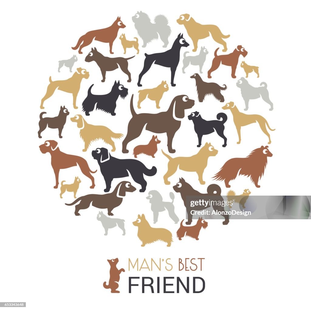 Dog breeds collage