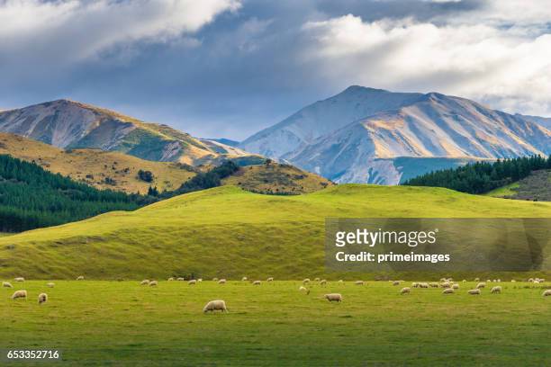panaramic view of famaus place at south island queenstown - the remarkables stock pictures, royalty-free photos & images