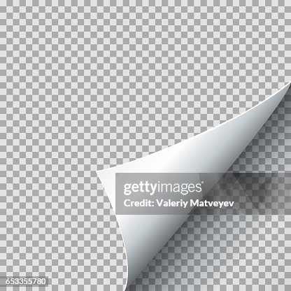 Data Image Transparent Background Paper Curl Vector Illustration Curled Page Corner With Shadow On ...