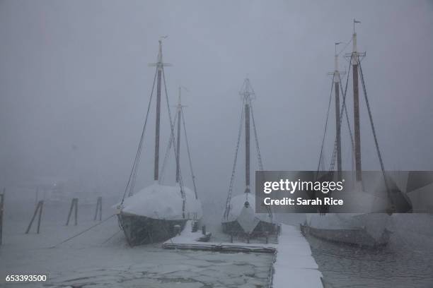 From left, the ketch Angelique, and schooners Lewis R. French and Mary Day sit wrapped for winter in the Camden Harbor as winds around 30 m.p.h. And...