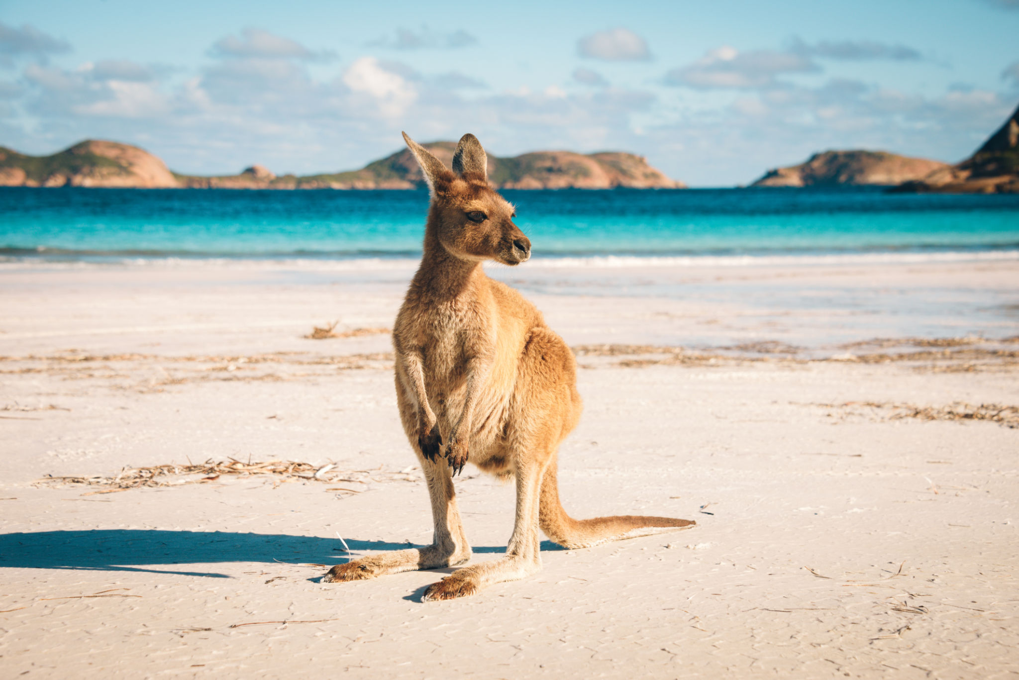 australian retreat