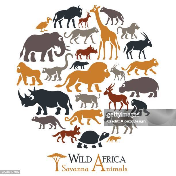 african animals collage - spider monkey stock illustrations