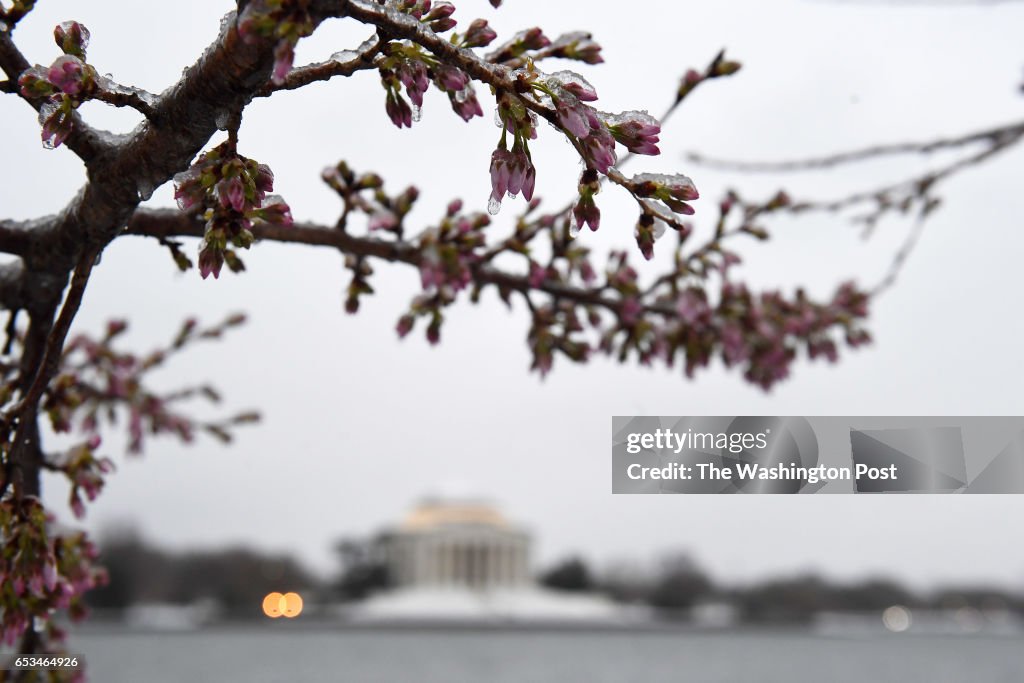 Snow Features- Washington, DC