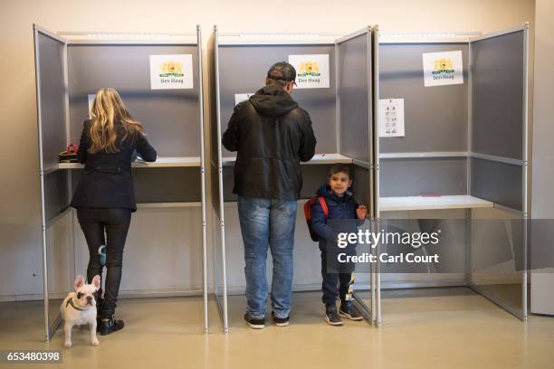 Little boy looks on as his father casts his vote next to a woman with a French bulldog, in the Dutch general election, on March 15, 2017 in The...