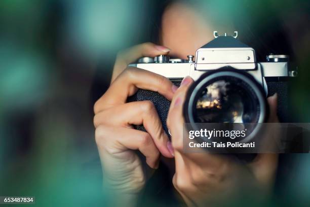 woman photographer shooting with an analog camera between tree leaves at sunset - hessen, germany - camera stock-fotos und bilder