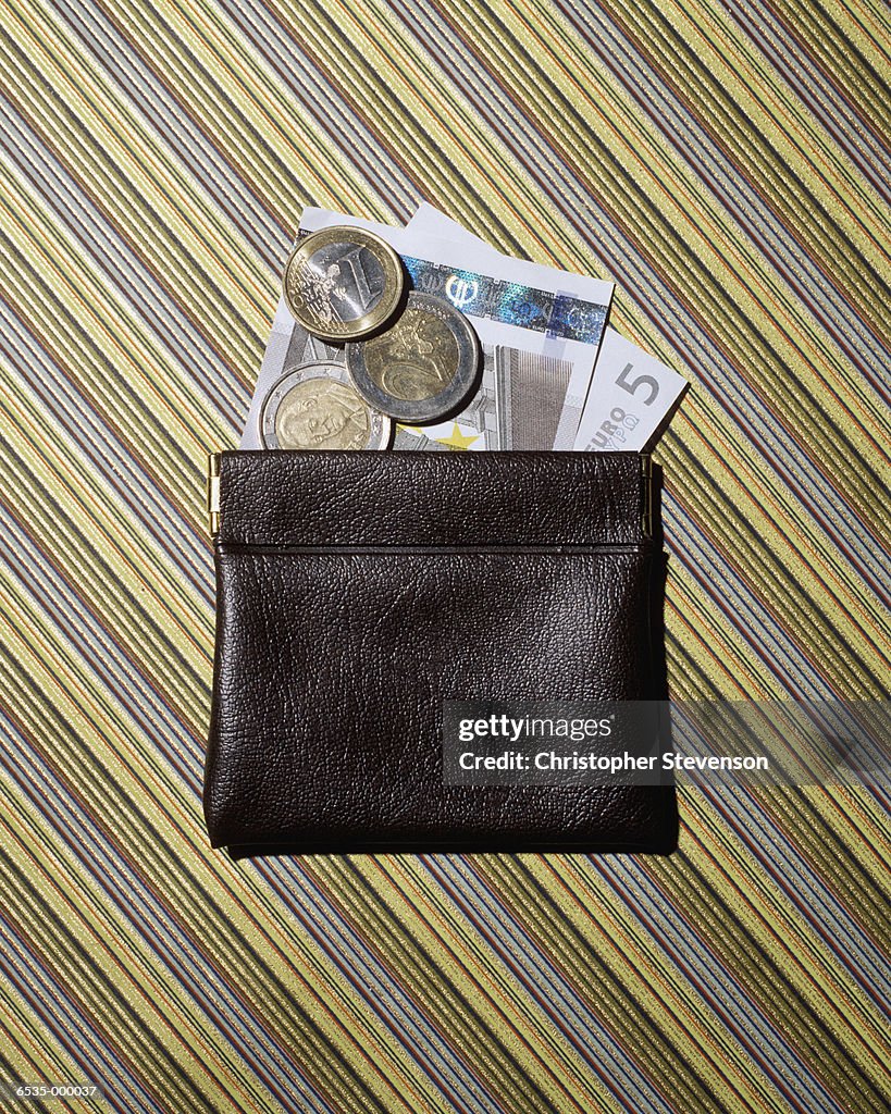 Euro Notes and Coins in Wallet