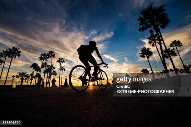 venice beach at sunset - venice california fotografías e imágenes de stock