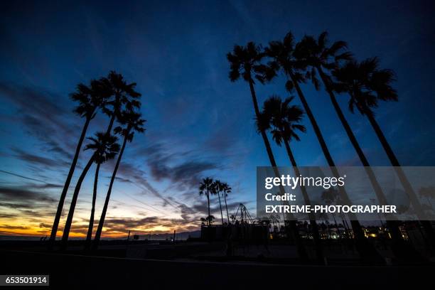 venice beach bei sonnenuntergang - low angle view of silhouette palm trees against sky stock-fotos und bilder