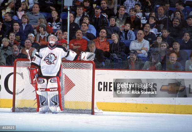 Goaltender Dominik Hasek of the Buffalo Sabres stands by the goal during the game against the Minnesota Wild at the HSBC Arena in Buffalo, New York....