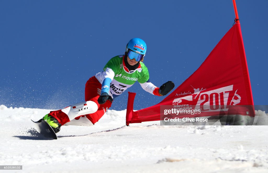 FIS Freestyle Ski & Snowboard World Championships 2017 - Day Eight