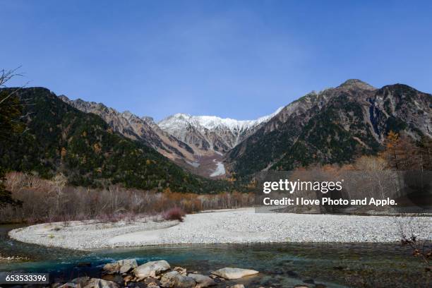 kamikochi autumn scenery - japanese larch stock pictures, royalty-free photos & images