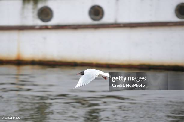 Scenses from daily life in Bydgoszcz, Poland are seen on 14 March, 2017.