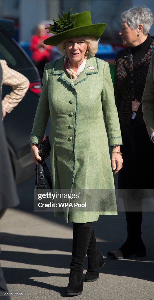 The Duchess Of Cornwall Attends Ladies Day At The Cheltenham Festival - Day 2