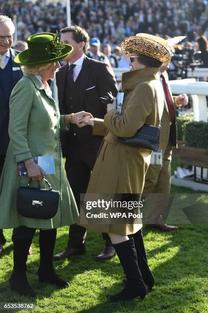 Camilla, Duchess of Cornwall, Honorary Member of the Jockey Club, speaks to Princess Anne, Princess Royal as they attend the second day of The...