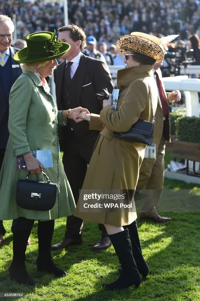 The Duchess Of Cornwall Attends Ladies Day At The Cheltenham Festival - Day 2