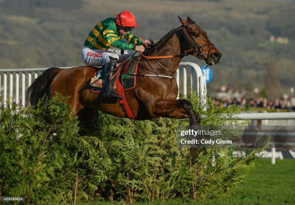 Cheltenham Racing Festival - Ladies Day