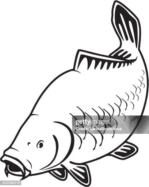 illustrations, cliparts, dessins animés et icônes de carp de poisson - carpe