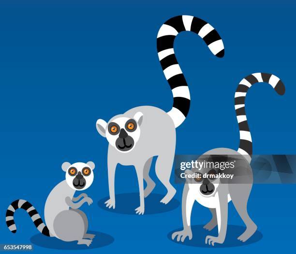 lemur - animals in captivity stock illustrations