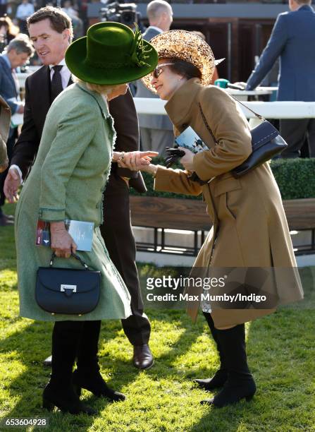 Camilla, Duchess of Cornwall greets Princess Anne, The Princess Royal with a kiss as they attend day 2 'Ladies Day' of the Cheltenham Festival at...