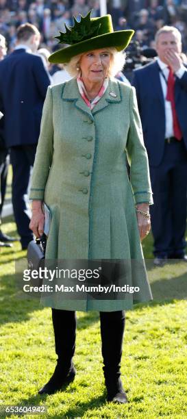 Camilla, Duchess of Cornwall attends day 2 'Ladies Day' of the Cheltenham Festival at Cheltenham Racecourse on March 15, 2017 in Cheltenham, England.