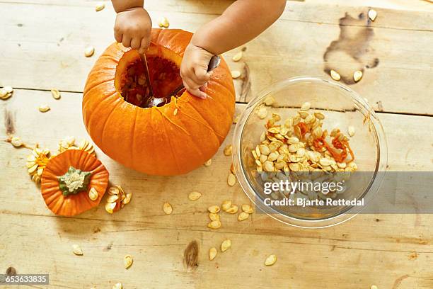 baby hands carving pumpkin from above - schnitzen stock-fotos und bilder