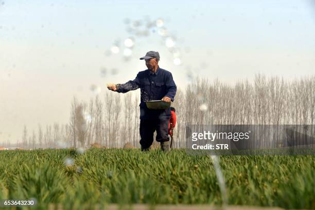 This photo taken on March 15, 2017 shows Chinese farmers working in a wheat field in Chiping county in Liaocheng, east China's Shandong province....