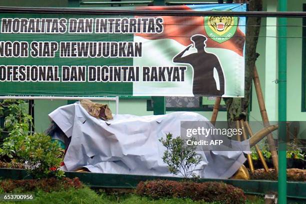 The tiger statue in front of a military base in Bandung is covered up on March 16, 2017 after the Indonesian military removed the grinning,...
