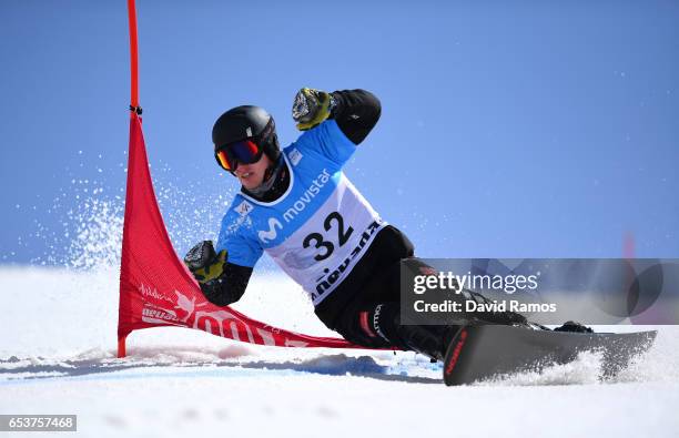 Alexander Bergmann of Germany competes in the final of the Men's Parallel Giant Slalom on day 9 of the FIS Freestyle Ski & Snowboard World...