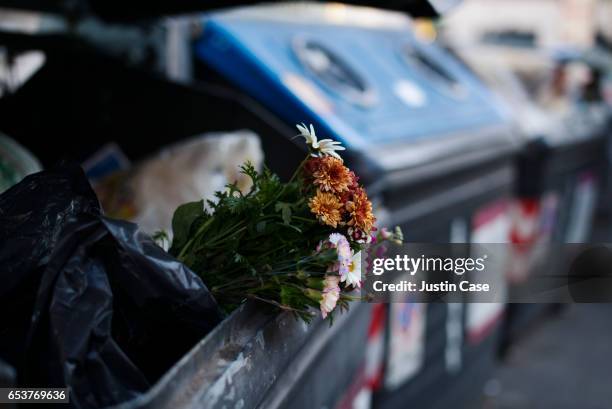 bunch of flowers thrown into trash - ruptura sentimental fotografías e imágenes de stock