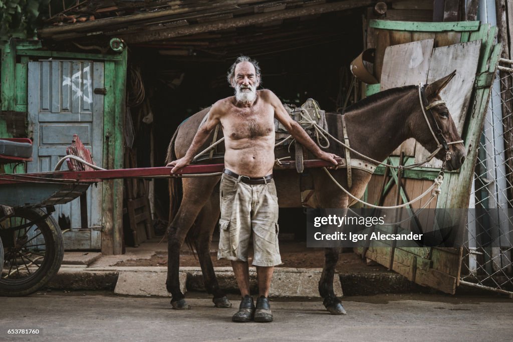 Wagon horse worker, Brazil