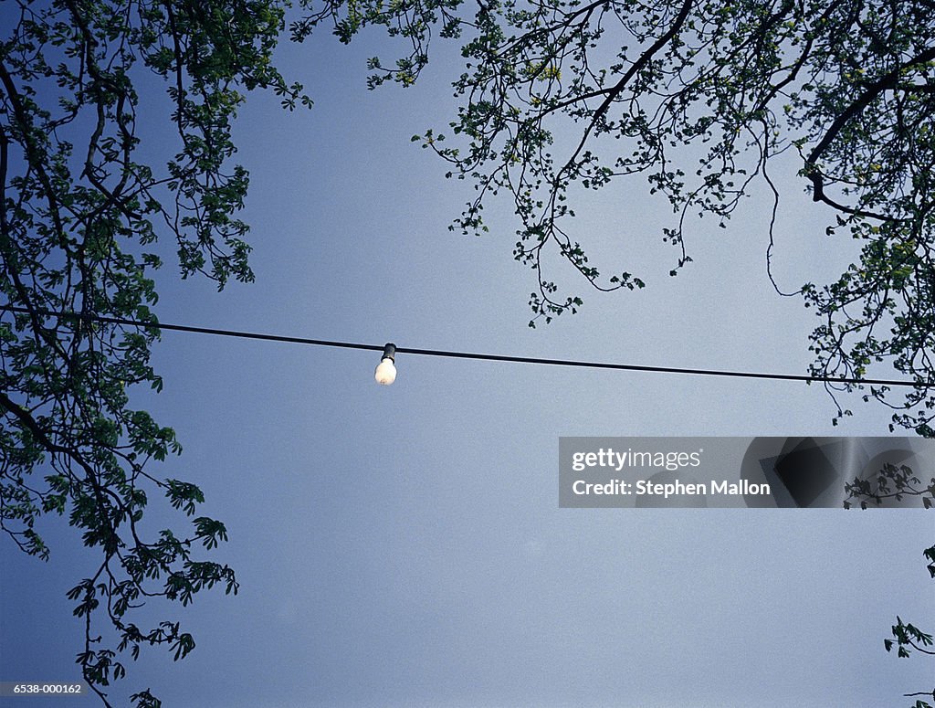 Lightbulb hangs on Cable