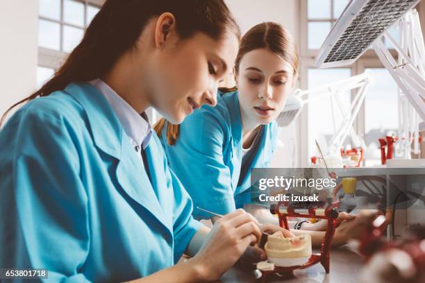 two female students working on denture - fake teeth stock pictures, royalty-free photos & images