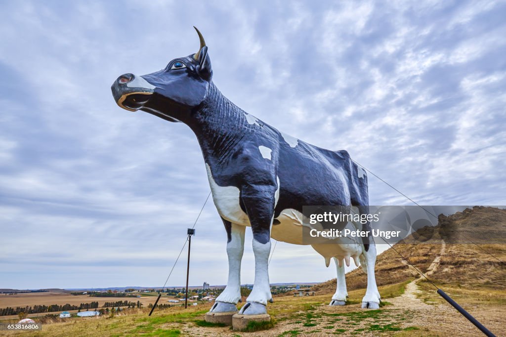 Salem Sue, World's Largest Holstein Cow, North Dakota, USA