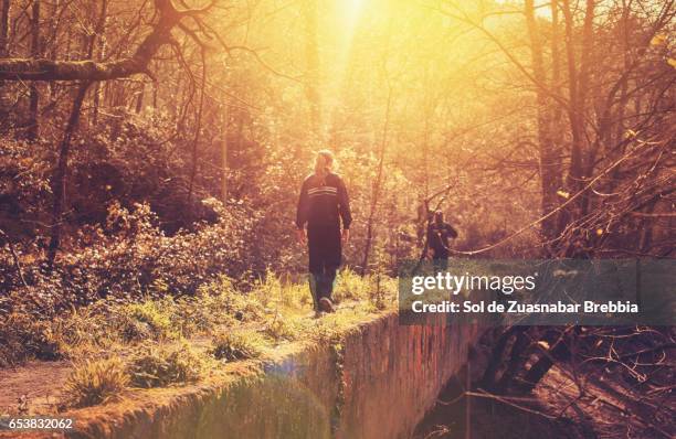 girls walking in nature on a warm sunny day - espiritualidad ストックフォトと画像