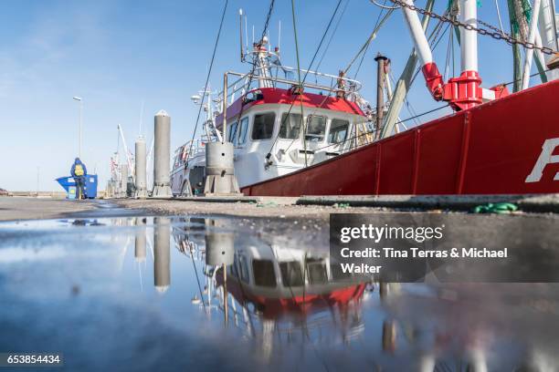 port rømø havneby denmark - shrimp boat stockfoto's en -beelden