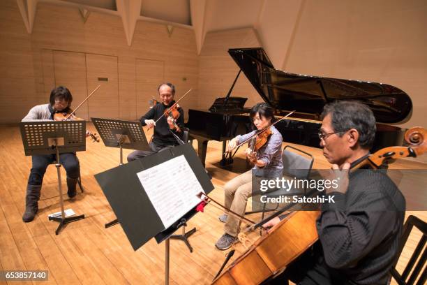 musician rehearsing before the concert - classical stock pictures, royalty-free photos & images