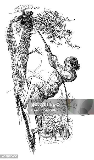 man climbing tree - rope climbing stock illustrations