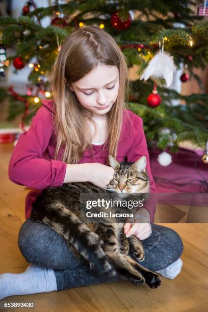 girl with cat in front of a christmas tree - lacaosa stock-fotos und bilder