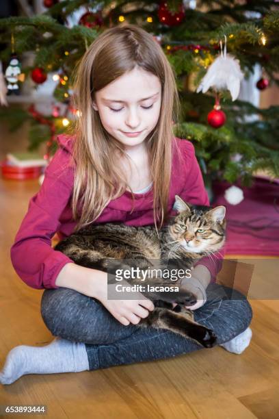 girl with cat in front of a christmas tree - lacaosa stock-fotos und bilder