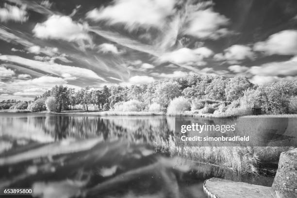 infrared image of frensham little pond in surrey - frensham stock pictures, royalty-free photos & images