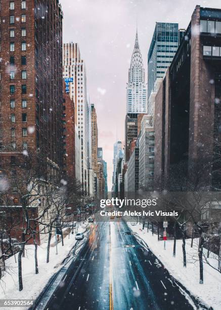 breaking the ice - museum of the city of new york winter ball stockfoto's en -beelden