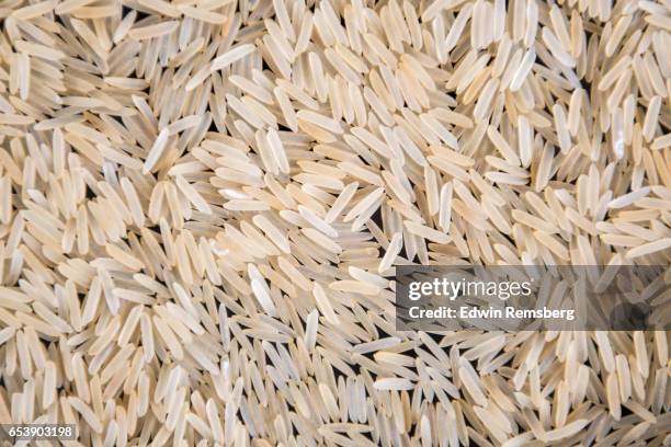rice - rice grain foto e immagini stock