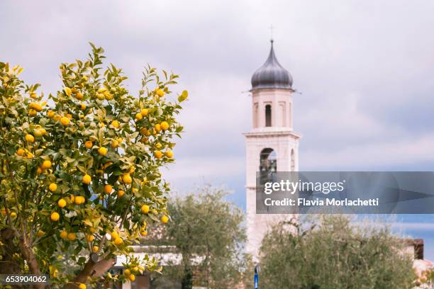 limone sul garda city in italy - garda stock pictures, royalty-free photos & images