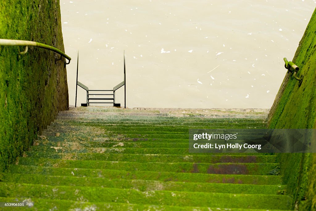 Moss covered steps leading to River Thames