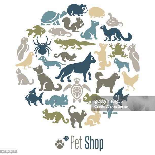 ilustrações, clipart, desenhos animados e ícones de colagem de pet shop - loja de animais de estimação