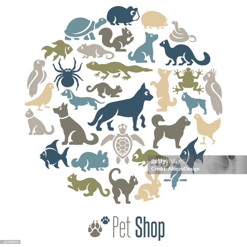 Pet Shop Collage