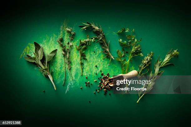 kruiden: kruiden en peper still life - dragon stockfoto's en -beelden