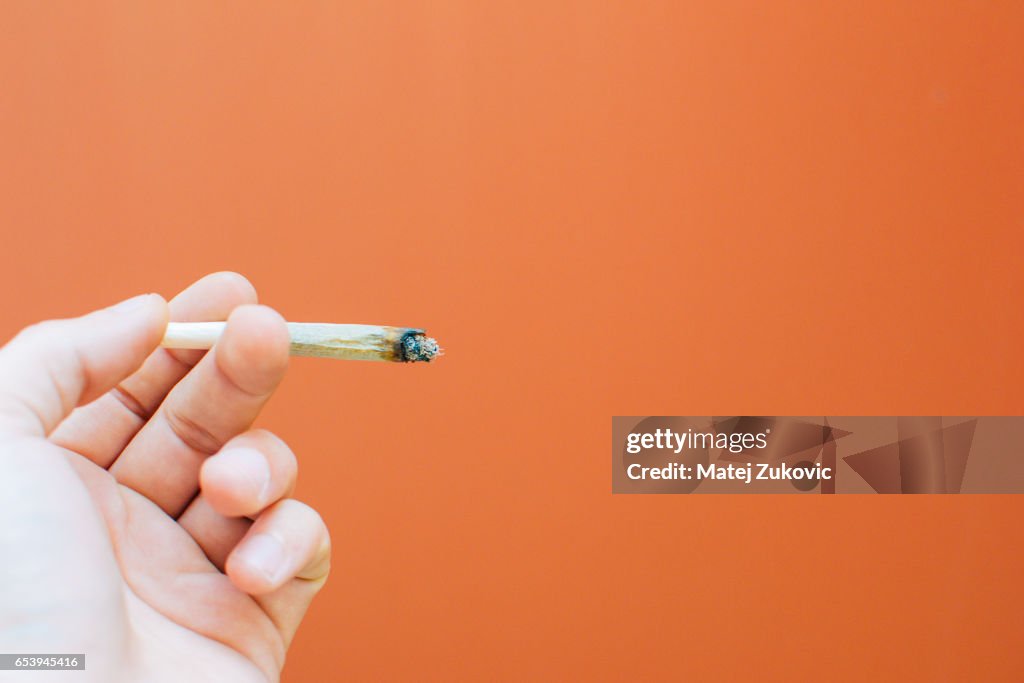 Man holding rolled joint cigarette in hand. Cigarette separated on orange background.