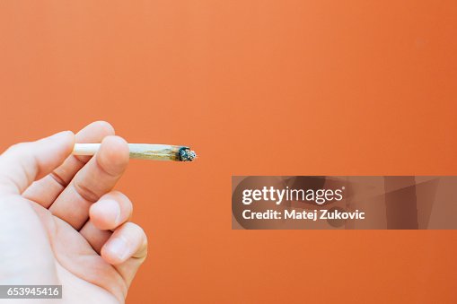 Man holding rolled joint cigarette in hand. Cigarette separated on orange background. Man holding rolled joint cigarette in hand. Cigarette separated on orange background.