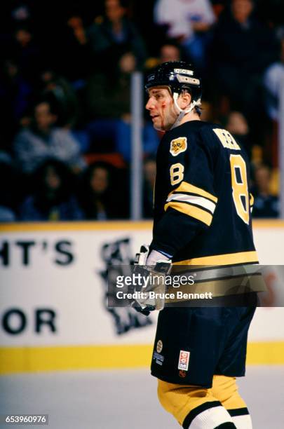 Cam Neely of the Boston Bruins skates on the ice while bleeding from under his left eye during an NHL game against the Winnipeg Jets on February 25,...
